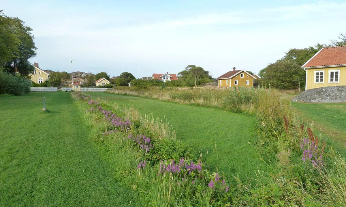 Idyllic houses on Ramsö.