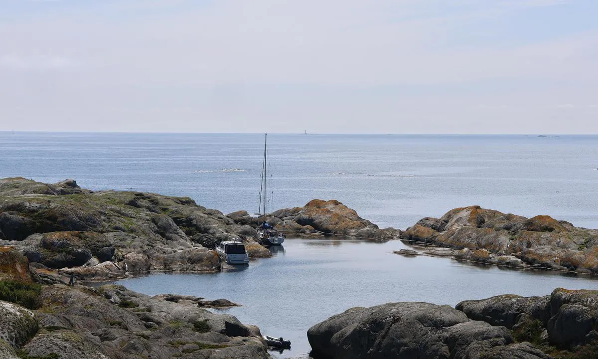 Ramsökalven SW