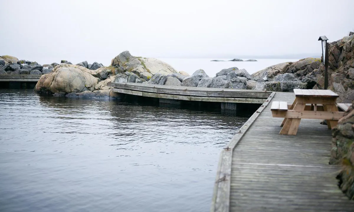 Ramsvikholmen: Fin brygge på en spennende øy! Her fra brygga med utsikt mot sør (Horten) og skjæra som huser en stor koloni med sel.