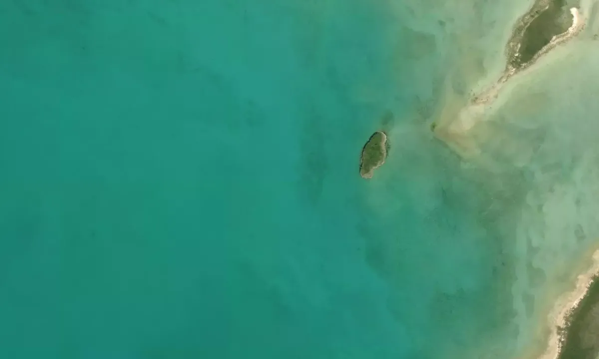 Satelite image of Randalls Cay