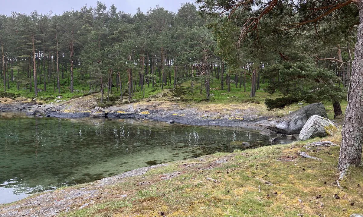 Svansholmen - Randøy Hjelmeland