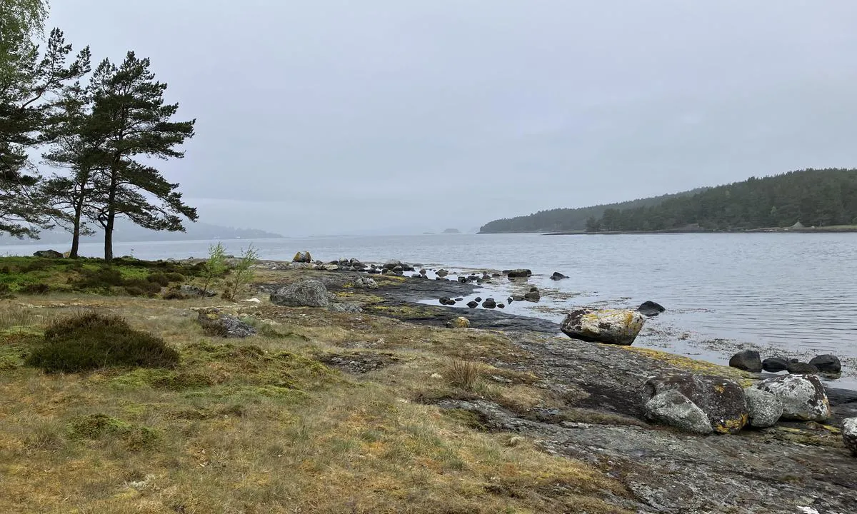 Svansholmen - Randøy Hjelmeland: {"base": "no", "no": "Mot nord", "se": "Mot norr", "en": "Towards the north", "da": "Mod nord"}