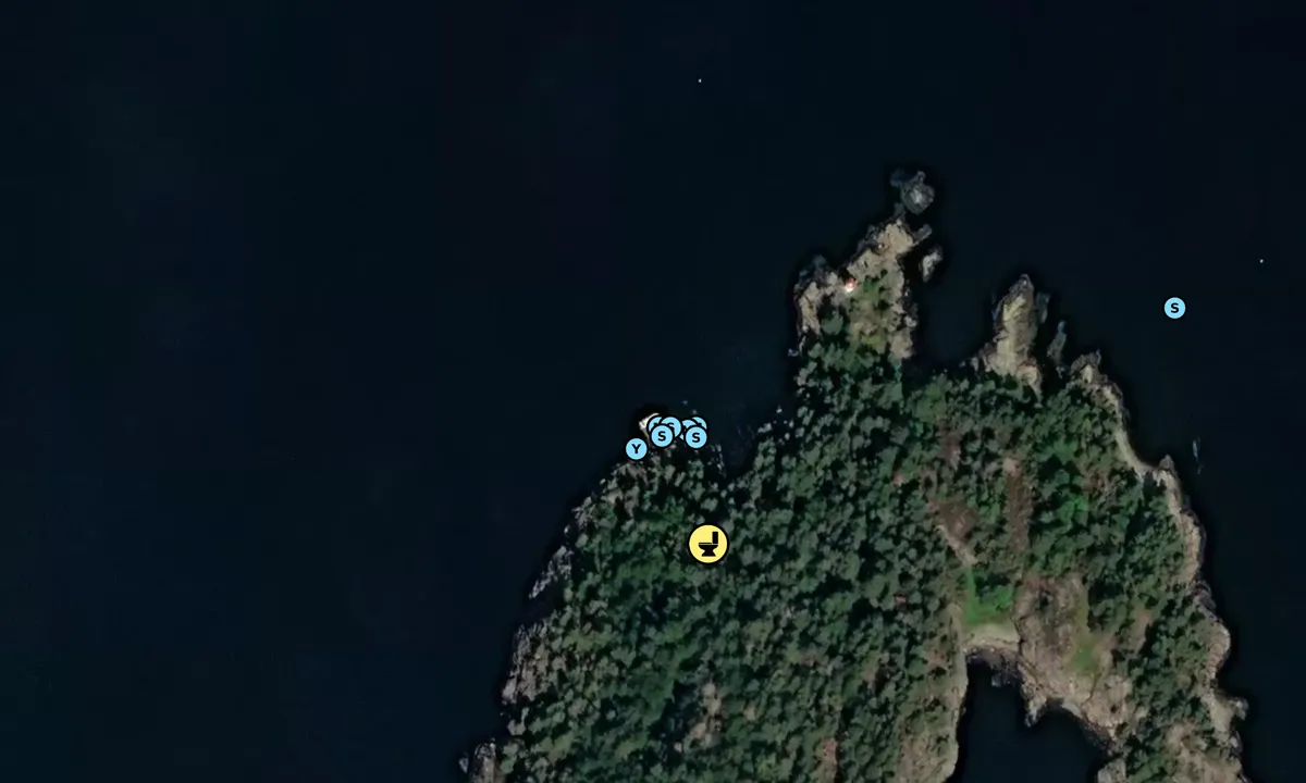 Satelite image of Ranvikholmen Nord