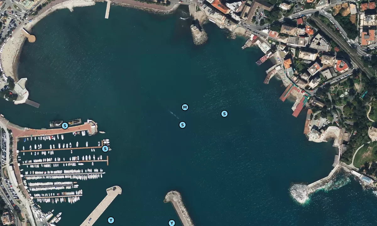 Satelite image of Rapallo Anchorage