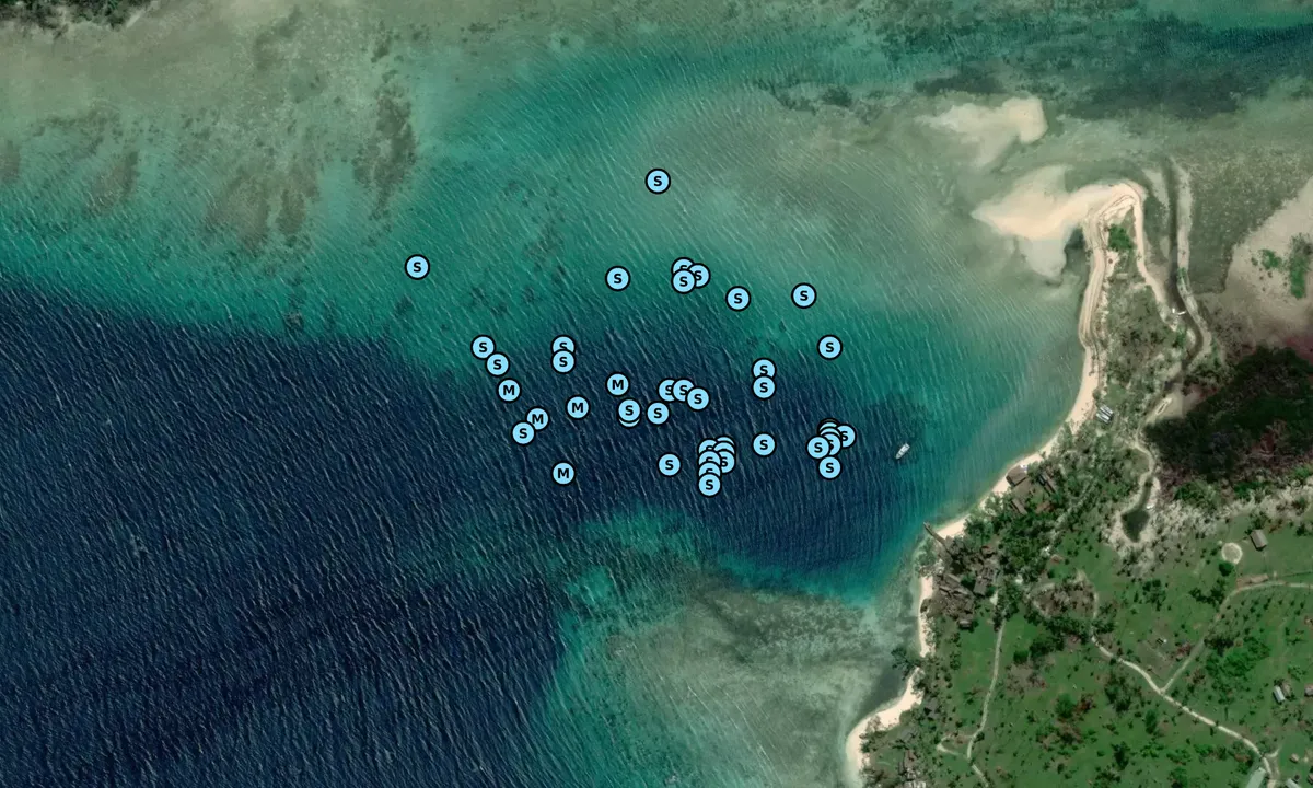 Satelite image of Ratua Island