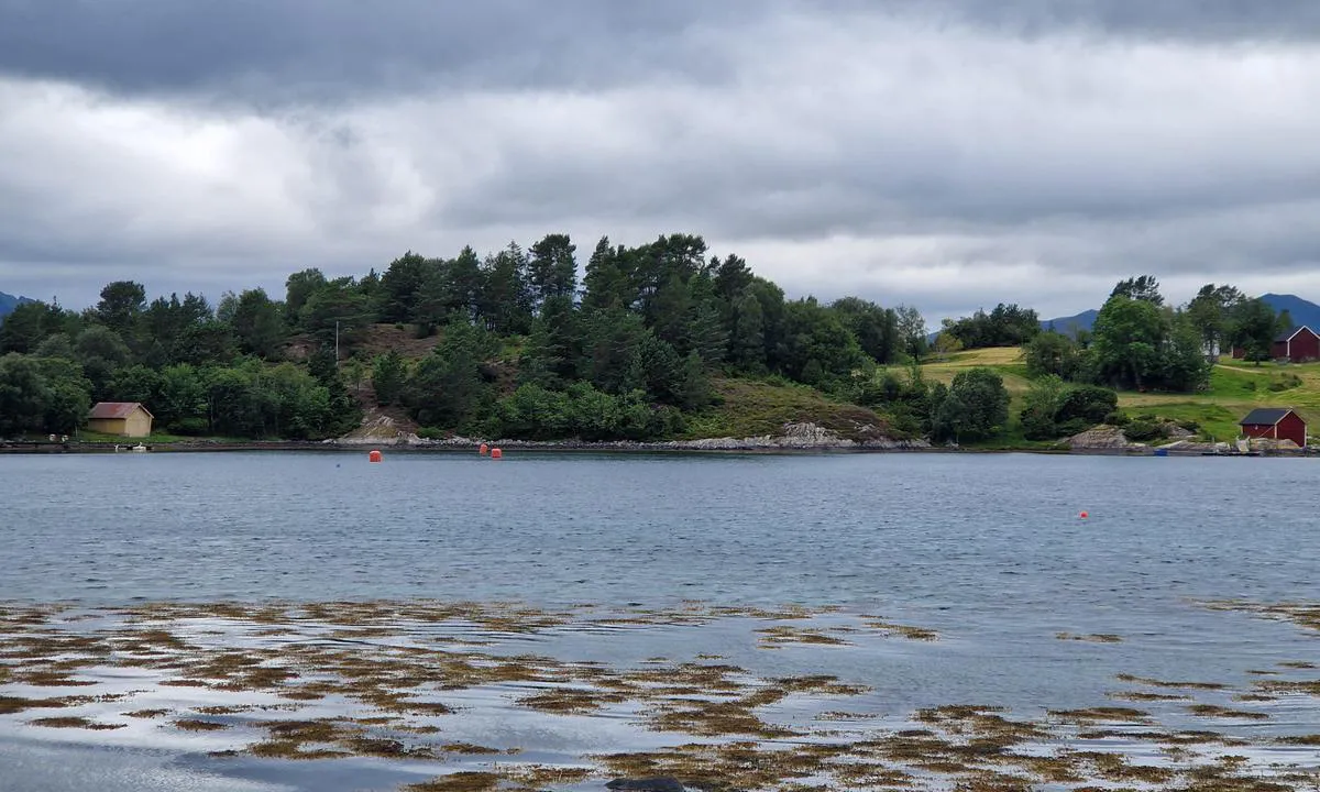 Raudøya: {"base": "en", "no": "Det er en b\u00f8ye n\u00e6r bryggene og tre til i bukten lenger vest. Det er en liten brygge egnet for lettb\u00e5ter ved h\u00f8yre hytte (synlig p\u00e5 h\u00f8yre side).", "se": "Det finns en boj n\u00e4ra pontonerna och tre till i bukten l\u00e4ngre v\u00e4sterut. Det finns en liten ponton l\u00e4mplig f\u00f6r jollar vid den h\u00f6gra stugan (synlig till h\u00f6ger).", "en": "There is one buoy near the pontoons and three more in the bay further west.\r\nThere is a small pontoon suitable for tenders by the right cabin (visible on the right).", "da": "Der er en b\u00f8je n\u00e6r pontonerne og tre mere i bugten l\u00e6ngere mod vest.<br>Der er en lille ponton velegnet til tenderb\u00e5de ved den h\u00f8jre kabine (synlig til h\u00f8jre).", "fr": "Il y a une bou\u00e9e pr\u00e8s des pontons et trois autres dans la baie plus \u00e0 l'ouest.<br>Il y a un petit ponton adapt\u00e9 pour les annexes pr\u00e8s de la cabine de droite (visible \u00e0 droite).", "de": "Es gibt eine Boje in der N\u00e4he der Pontons und drei weitere weiter westlich in der Bucht. Es gibt einen kleinen Ponton, der f\u00fcr Beiboote geeignet ist, neben der rechten Kabine (sichtbar auf der rechten Seite).", "es": "Hay una boya cerca de los pantalanes y tres m\u00e1s en la bah\u00eda m\u00e1s al oeste.<br>Hay un peque\u00f1o pantal\u00e1n adecuado para las embarcaciones auxiliares junto a la cabina derecha (visible a la derecha).", "it": "C'\u00e8 una boa vicino ai pontili e altre tre nella baia pi\u00f9 a ovest.<br/>C'\u00e8 un piccolo pontile adatto per i tender vicino alla cabina sulla destra (visibile a destra).", "pt": "H\u00e1 uma boia perto dos pont\u00f5es e mais tr\u00eas na ba\u00eda mais a oeste. H\u00e1 um pequeno pont\u00e3o adequado para botes junto \u00e0 cabine direita (vis\u00edvel \u00e0 direita).", "nl": "Er is \u00e9\u00e9n boei nabij de pontons en drie meer in de baai verder naar het westen. Er is een klein ponton geschikt voor tenders bij de rechter kajuit (zichtbaar aan de rechterkant).", "pl": "W pobli\u017cu pomost\u00f3w znajduje si\u0119 jedna boja oraz trzy kolejne w zatoce dalej na zach\u00f3d. Przy prawej kabinie (widocznej po prawej) znajduje si\u0119 ma\u0142y pomost odpowiedni dla \u0142odzi pomocniczych.", "uk": "\u0411\u0456\u043b\u044f \u043f\u043e\u043d\u0442\u043e\u043d\u0456\u0432 \u0454 \u043e\u0434\u0438\u043d \u0431\u0443\u0439 \u0442\u0430 \u0449\u0435 \u0442\u0440\u0438 \u0443 \u0437\u0430\u0442\u043e\u0446\u0456 \u0434\u0430\u043b\u0456 \u043d\u0430 \u0437\u0430\u0445\u0456\u0434. \u0411\u0456\u043b\u044f \u043f\u0440\u0430\u0432\u043e\u0457 \u043a\u0430\u044e\u0442\u0438 (\u0432\u0438\u0434\u043d\u043e \u043f\u0440\u0430\u0432\u043e\u0440\u0443\u0447) \u0454 \u043c\u0430\u043b\u0435\u043d\u044c\u043a\u0438\u0439 \u043f\u043e\u043d\u0442\u043e\u043d, \u043f\u0440\u0438\u0434\u0430\u0442\u043d\u0438\u0439 \u0434\u043b\u044f \u0434\u043e\u043f\u043e\u043c\u0456\u0436\u043d\u0438\u0445 \u0441\u0443\u0434\u0435\u043d.", "ro": "Exist\u0103 o geamandur\u0103 aproape de pontoane \u0219i alte trei mai departe \u00een golf, spre vest. Exist\u0103 un ponton mic, potrivit pentru b\u0103rci mici, l\u00e2ng\u0103 cabina din dreapta (vizibil\u0103 \u00een dreapta).", "tr": "Pontoonlar\u0131n yak\u0131n\u0131nda bir \u015famand\u0131ra ve bat\u0131ya do\u011fru koyun i\u00e7inde \u00fc\u00e7 tane daha bulunmaktad\u0131r. Sa\u011fdaki kabinin yan\u0131nda (sa\u011fda g\u00f6r\u00fcnen) k\u00fc\u00e7\u00fck ponton tenderler i\u00e7in uygundur.", "el": "\u03a5\u03c0\u03ac\u03c1\u03c7\u03b5\u03b9 \u03ad\u03bd\u03b1\u03c2 \u03c0\u03bb\u03c9\u03c4\u03ae\u03c1\u03b1\u03c2 \u03ba\u03bf\u03bd\u03c4\u03ac \u03c3\u03c4\u03bf\u03c5\u03c2 \u03c0\u03cc\u03bd\u03c4\u03bf\u03bd\u03b5\u03c2 \u03ba\u03b1\u03b9 \u03c4\u03c1\u03b5\u03b9\u03c2 \u03b1\u03ba\u03cc\u03bc\u03b1 \u03c0\u03b9\u03bf \u03b4\u03c5\u03c4\u03b9\u03ba\u03ac \u03c3\u03c4\u03bf\u03bd \u03ba\u03cc\u03bb\u03c0\u03bf. \u03a5\u03c0\u03ac\u03c1\u03c7\u03b5\u03b9 \u03ad\u03bd\u03b1\u03c2 \u03bc\u03b9\u03ba\u03c1\u03cc\u03c2 \u03c0\u03cc\u03bd\u03c4\u03bf\u03bd \u03ba\u03b1\u03c4\u03ac\u03bb\u03bb\u03b7\u03bb\u03bf\u03c2 \u03b3\u03b9\u03b1 \u03b2\u03bf\u03b7\u03b8\u03b7\u03c4\u03b9\u03ba\u03ac \u03c3\u03ba\u03ac\u03c6\u03b7 \u03ba\u03bf\u03bd\u03c4\u03ac \u03c3\u03c4\u03b7\u03bd \u03b4\u03b5\u03be\u03b9\u03ac \u03ba\u03b1\u03bc\u03c0\u03af\u03bd\u03b1 (\u03bf\u03c1\u03b1\u03c4\u03cc \u03c3\u03c4\u03b1 \u03b4\u03b5\u03be\u03b9\u03ac).", "cs": "V bl\u00edzkosti p\u0159\u00edstavi\u0161\u0165 je jedna b\u00f3je a dal\u0161\u00ed t\u0159i v z\u00e1toce sm\u011brem d\u00e1le na z\u00e1pad. U prav\u00e9 kabiny (viditeln\u00e9 napravo) je mal\u00e9 p\u0159\u00edstavi\u0161t\u011b vhodn\u00e9 pro \u010dluny.", "hu": "Van egy b\u00f3ja a m\u00f3l\u00f3k k\u00f6zel\u00e9ben, \u00e9s h\u00e1rom m\u00e1sik a kik\u00f6t\u0151ben nyugatabbra.<br> Van egy kis m\u00f3l\u00f3, amely alkalmas seg\u00e9dcs\u00f3nakok sz\u00e1m\u00e1ra a jobb oldali kabinn\u00e1l (l\u00e1that\u00f3 a jobb oldalon).", "fi": "Laitureiden l\u00e4hell\u00e4 on yksi poiju ja kolme lis\u00e4\u00e4 lahden l\u00e4nsipuolella. <br> Oikealla n\u00e4kyv\u00e4n m\u00f6kin vieress\u00e4 on pieni laituri, joka sopii apuveneille.", "bg": "\u0418\u043c\u0430 \u0435\u0434\u043d\u0430 \u0431\u0443\u0439\u043a\u0430 \u0431\u043b\u0438\u0437\u043e \u0434\u043e \u043f\u043e\u043d\u0442\u043e\u043d\u0438\u0442\u0435 \u0438 \u043e\u0449\u0435 \u0442\u0440\u0438 \u0432 \u0437\u0430\u043b\u0438\u0432\u0430 \u043f\u043e-\u043d\u0430\u0442\u0430\u0442\u044a\u043a \u043d\u0430 \u0437\u0430\u043f\u0430\u0434. \u0418\u043c\u0430 \u043c\u0430\u043b\u044a\u043a \u043f\u043e\u043d\u0442\u043e\u043d, \u043f\u043e\u0434\u0445\u043e\u0434\u044f\u0449 \u0437\u0430 \u0441\u043f\u043e\u043c\u0430\u0433\u0430\u0442\u0435\u043b\u043d\u0438 \u043b\u043e\u0434\u043a\u0438, \u0434\u043e \u0434\u044f\u0441\u043d\u0430\u0442\u0430 \u043a\u0430\u044e\u0442\u0430 (\u0432\u0438\u0434\u0438\u043c\u0430 \u043e\u0442 \u0434\u044f\u0441\u043d\u043e).", "sr": "Postoji jedna bova blizu pontona i jo\u0161 tri u zalivu dalje ka zapadu. Postoji mali ponton pogodan za \u010damce za pomo\u0107, pored desne kabine (vidljivo na desnoj strani).", "et": "Pontoone l\u00e4hedal on \u00fcks poi ja lahes kaugemal l\u00e4\u00e4ne pool veel kolm poid. Parempoolse kajuti juures (n\u00e4htav paremal) on v\u00e4ike pontoon, mis sobib parvedele.", "lv": "Pie pontoniem ir viena boja un v\u0113l tr\u012bs bojas ir l\u012bc\u012b t\u0101l\u0101k uz rietumiem.<br />Pie lab\u0101s kaj\u012btes (redzama pa labi) ir piem\u0113rots mazais pontons.", "lt": "Prie ponton\u0173 yra viena pl\u016bdur\u0117 ir dar trys \u012flankoje toliau \u012f vakarus. Prie tinkamos kajut\u0117s (matoma de\u0161in\u0117je) yra ma\u017eas pontonas, tinkamas \u0161liuzams."}