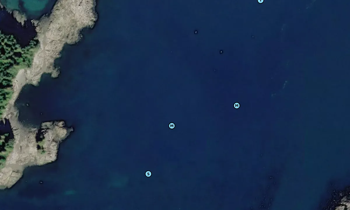 Satelite image of Red Bay North