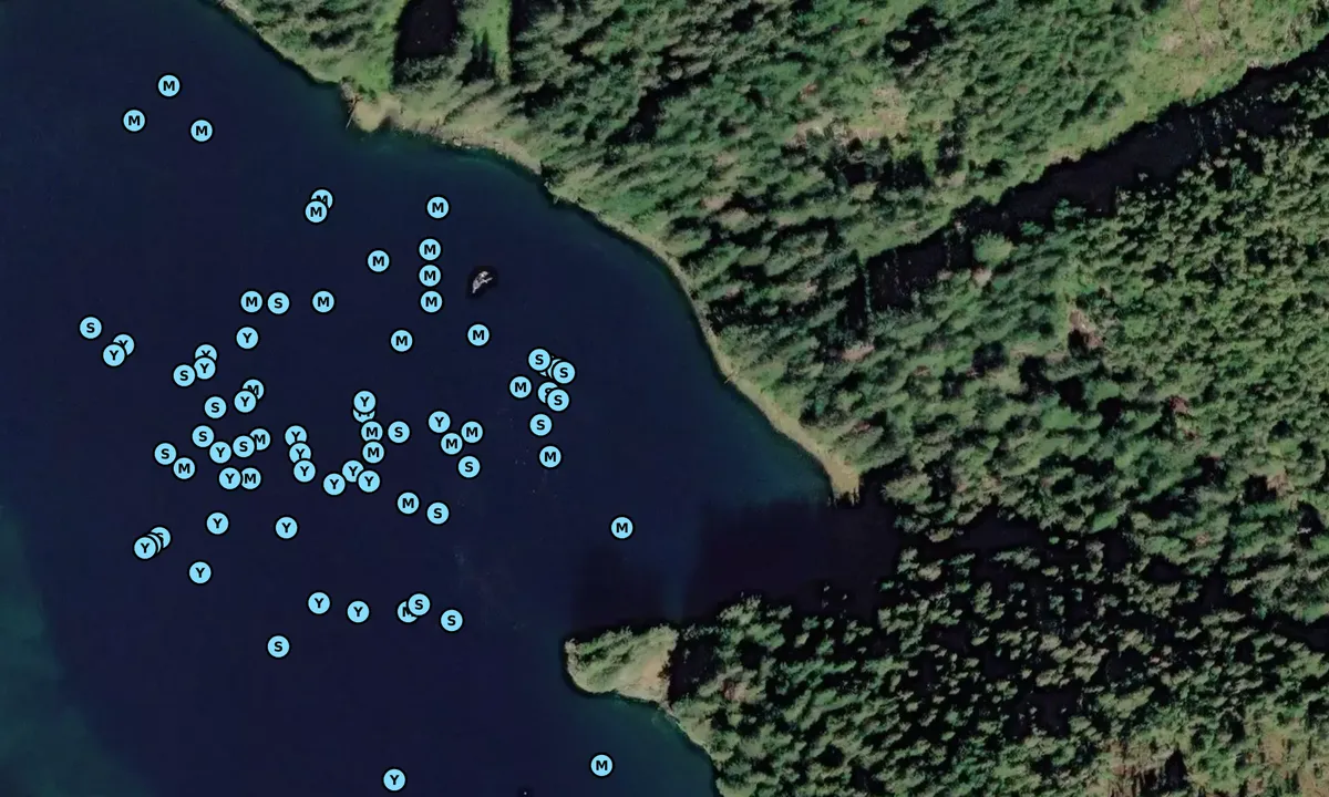 Satelite image of Red Bluff Bay