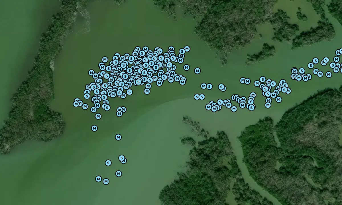 Satelite image of Red Marker there 6-19-19