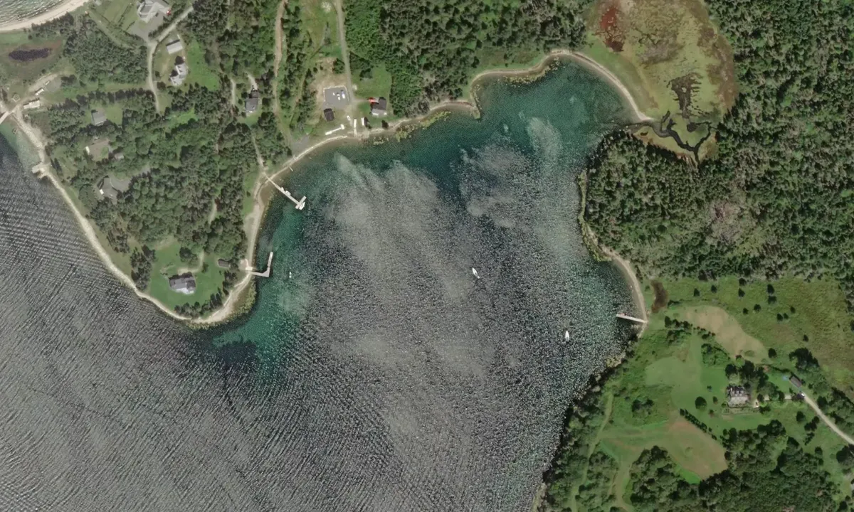 Flyfoto av Redmonds Cove