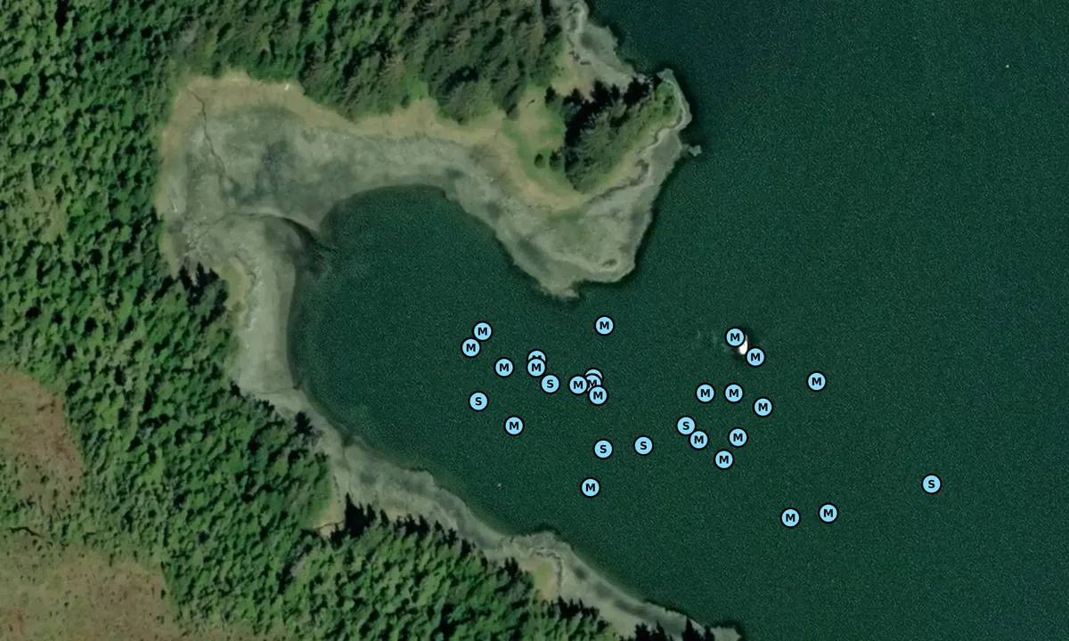 Satelite image of Reed Island Middle Cove