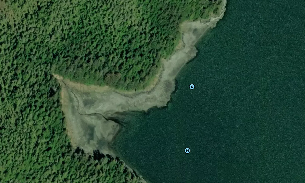 Satelite image of Reed Island North Cove
