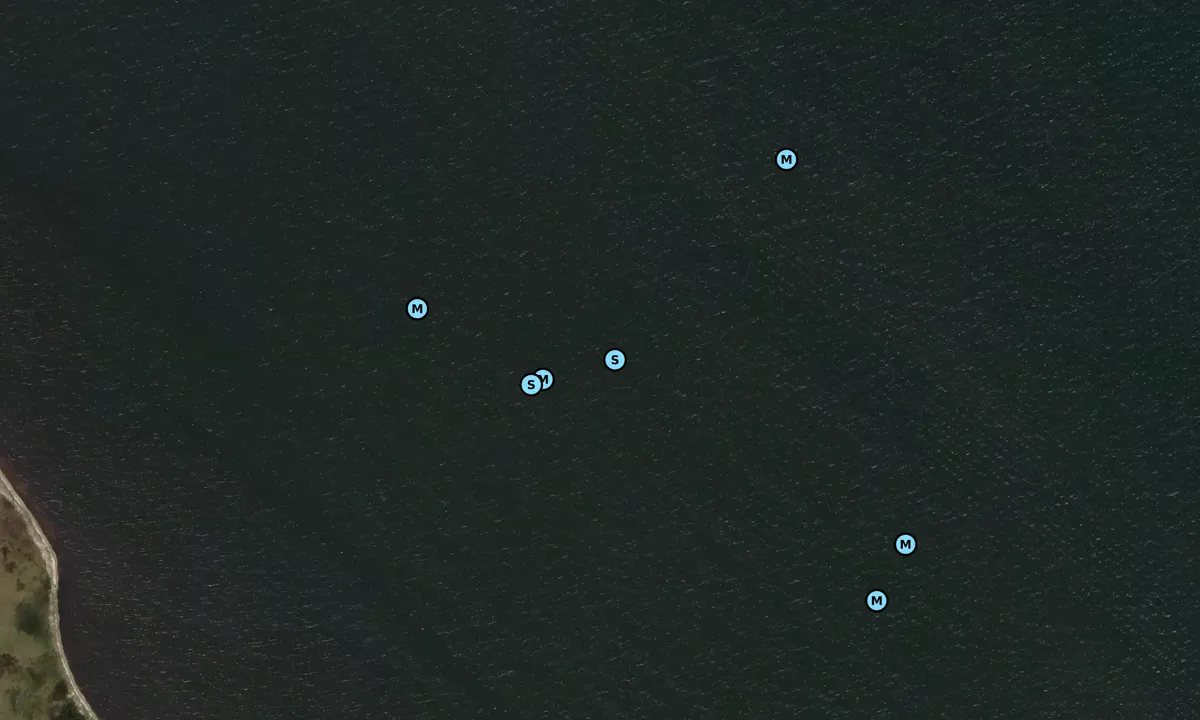 Satelite image of Reeds Point