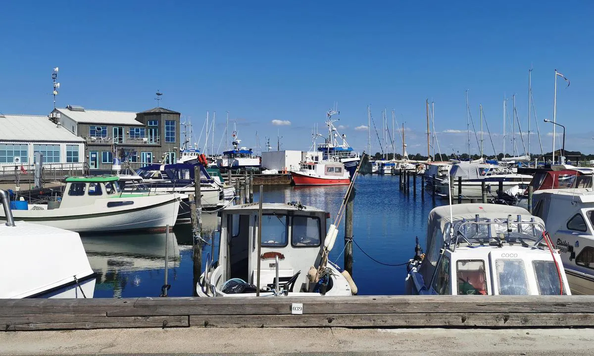 Reersø Fiskeri og lystbådehavn: {"base": "de", "no": "Reers\u00f8 Maria og -fiskehavnen", "se": "Reers\u00f8 Maria och -fiskehamn", "en": "Reers\u00f8 Maria and Fishing Harbor", "da": "Reers\u00f8 Maria og fiskerihavn", "fr": "Port Maria de Reers\u00f8 et port de p\u00eache", "de": "Reers\u00f8 Maria und -Fischereihafen", "es": "Puerto de Reers\u00f8 Maria y pesca", "it": "Porto di Reers\u00f8 Maria e -Peschereccio", "pt": "Reers\u00f8 Maria e -Porto de Pesca", "nl": "Reers\u00f8 Maria en -Visserijhaven", "pl": "Reers\u00f8 Maria i port rybacki", "uk": "\u0420\u0435\u0440\u0441\u0451 \u041c\u0430\u0440\u0456\u044f \u0456 -\u0440\u0438\u0431\u0430\u043b\u044c\u0441\u044c\u043a\u0438\u0439 \u043f\u043e\u0440\u0442", "ro": "Portul Reers\u00f8 Maria \u0219i portul de pescuit", "tr": "Reers\u00f8 Marina ve Bal\u0131k\u00e7\u0131 Liman\u0131", "el": "\u039b\u03b9\u03bc\u03ac\u03bd\u03b9 Reers\u00f8 Maria \u03ba\u03b1\u03b9 -\u0391\u03bb\u03b9\u03b5\u03c5\u03c4\u03b9\u03ba\u03cc \u039b\u03b9\u03bc\u03ac\u03bd\u03b9", "cs": "Reers\u00f8 Maria a -ryb\u00e1\u0159sk\u00fd p\u0159\u00edstav", "hu": "Reers\u00f8 Maria \u00e9s -Hal\u00e1szkik\u00f6t\u0151", "fi": "Reers\u00f8 Maria ja -kalasatama", "bg": "\u041f\u0440\u0438\u0441\u0442\u0430\u043d\u0438\u0449\u0435 \u0438 \u0440\u0438\u0431\u0430\u0440\u0441\u043a\u043e \u043f\u0440\u0438\u0441\u0442\u0430\u043d\u0438\u0449\u0435 Reers\u00f8 Maria", "sr": "\u0420\u0435\u0435\u0440\u0441\u0451 \u041c\u0430\u0440\u0438\u0430 \u0438 \u0440\u0438\u0431\u0430\u0440\u0441\u043a\u0430 \u043b\u0443\u043a\u0430", "et": "Reers\u00f8 Maria ja -kalasadam", "lv": "Reers\u00f8 Maria un -zvejas osta", "lt": "Reers\u00f8 Maria ir -\u017evejybos uostas"}