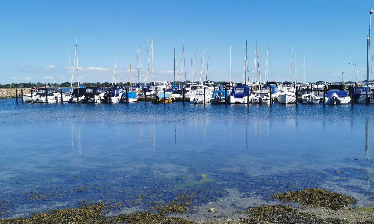 Reersø Fiskeri og lystbådehavn: {"base": "de", "no": "Reers\u00f8 Maria og -fiskerihavn", "se": "Reers\u00f8 Maria och fiskerihamn", "en": "Reers\u00f8 Maria and Fishing Harbor", "da": "Reers\u00f8 Maria- og fiskerihavn", "fr": "Port Maria de Reers\u00f8 - Port de p\u00eache", "de": "Reers\u00f8 Maria und -Fischereihafen", "es": "Puerto de Reers\u00f8 Maria y de pescadores", "it": "Reers\u00f8 Porto Maria e Peschereccio", "pt": "Reers\u00f8 Maria e -Porto de Pesca", "nl": "Reers\u00f8 Maria en visserijhaven", "pl": "Reers\u00f8 Maria und -port rybacki", "uk": "\u0420\u0435\u0440\u0435c\u044c\u043e \u041c\u0430\u0440\u0456\u044f \u0442\u0430 -\u0440\u0438\u0431\u0430\u043b\u044c\u0441\u044c\u043a\u0438\u0439 \u043f\u043e\u0440\u0442", "ro": "Portul de agrement \u0219i pescuit Reers\u00f8", "tr": "Reers\u00f8 Marina ve Bal\u0131k\u00e7\u0131 Liman\u0131", "el": "\u039b\u03b9\u03bc\u03ac\u03bd\u03b9 Reers\u00f8 Maria \u03ba\u03b1\u03b9 \u0391\u03bb\u03b9\u03b5\u03c5\u03c4\u03b9\u03ba\u03cc \u039b\u03b9\u03bc\u03ac\u03bd\u03b9", "cs": "Reers\u00f8 Maria a -Rybn\u00fd p\u0159\u00edstav", "hu": "Reers\u00f8 Maria \u00e9s -hal\u00e1szkik\u00f6t\u0151", "fi": "Reers\u00f8 Maria ja -kalasatama", "bg": "\u0420\u0435\u0435\u0440\u0441\u044c\u043e \u041c\u0430\u0440\u0438\u044f \u0438 \u0440\u0438\u0431\u0430\u0440\u0441\u043a\u043e \u043f\u0440\u0438\u0441\u0442\u0430\u043d\u0438\u0449\u0435", "sr": "Luka i ribarska luka Reers\u00f8 Maria", "et": "Reers\u00f8 Maria ja -kalasadam", "lv": "Reers\u00f8 Maria un -zvejas osta", "lt": "<p>Reers\u00f8 Marijos ir \u017dvejybos uostas</p>"}