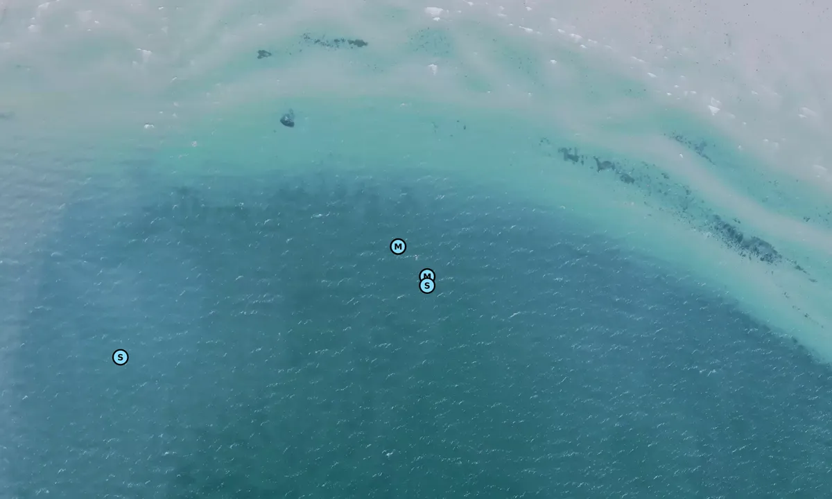 Satelite image of Reersø - Vejlen bouy