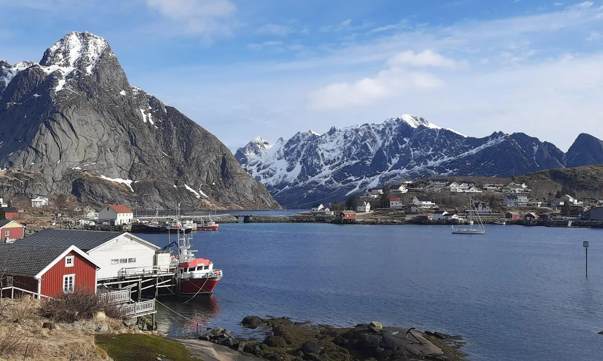 Reinevågen