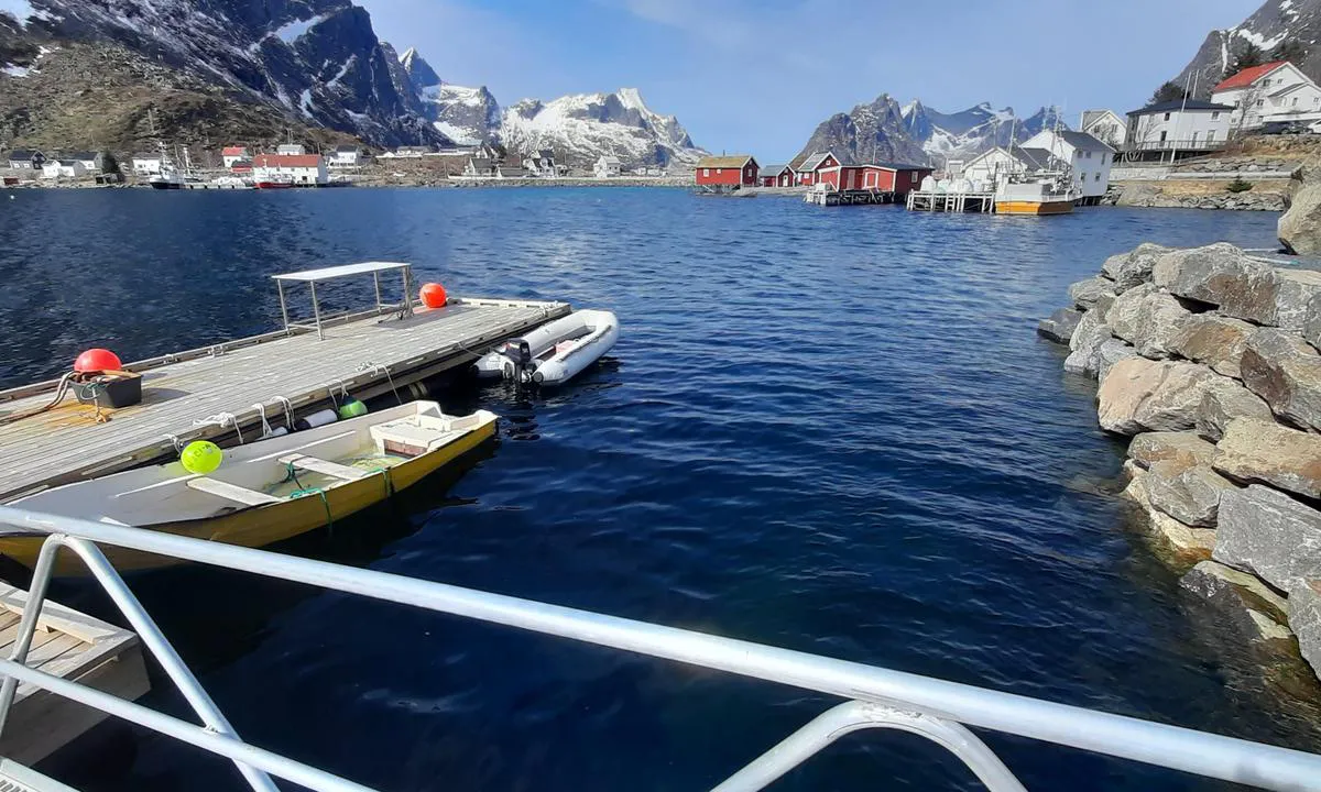 Reinevågen