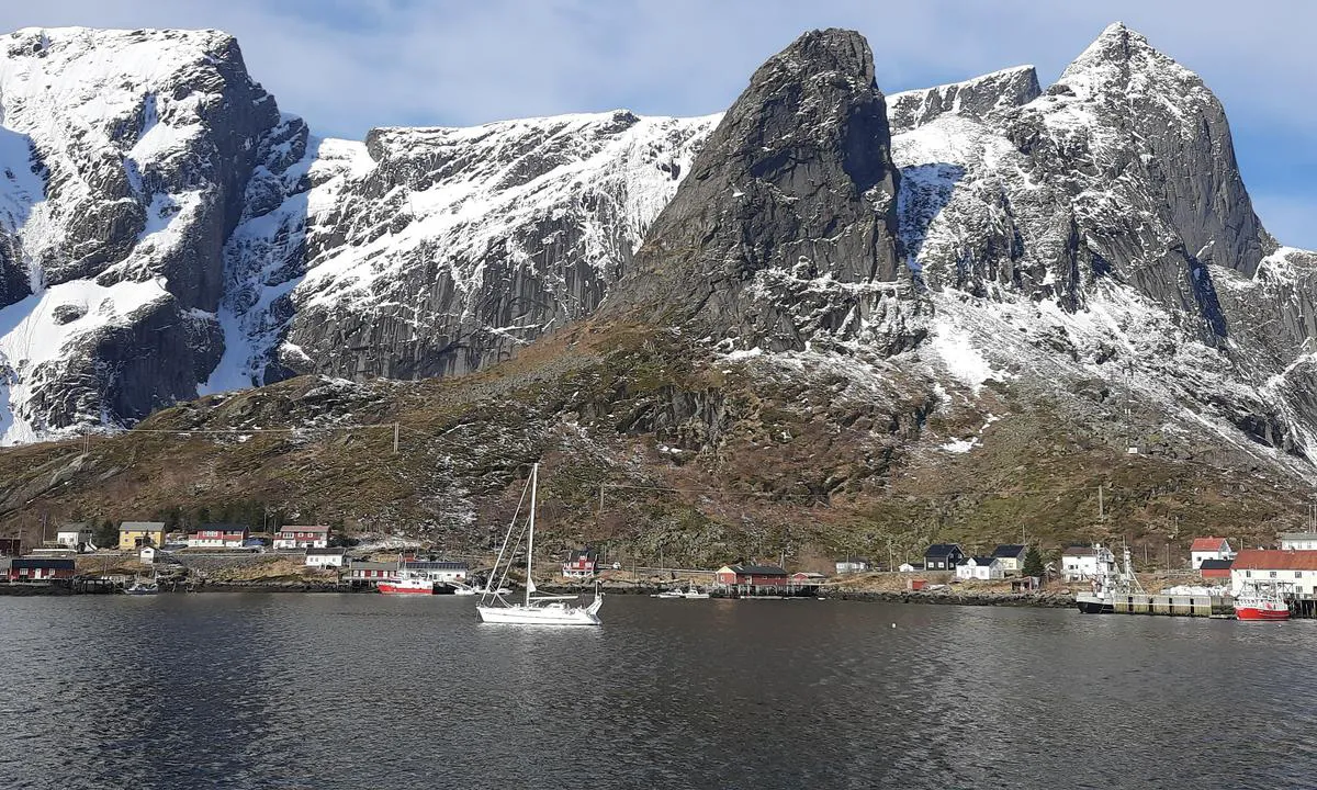 Reinevågen