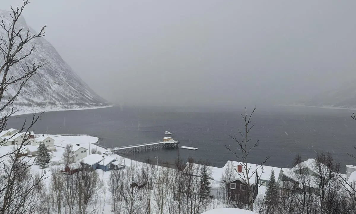 Reinfjord