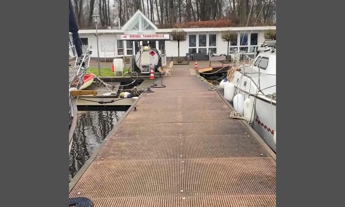 Rendsburg Marina: {"base": "en", "no": "Marinabygningen. Inne er det dusjer, toaletter og vaskemaskiner. 1\u20ac for en dusj (tidskontrollert). Vasking og t\u00f8rking kostet mer, og jeg tror det var 3\u20ac og 4\u20ac. Du kan ogs\u00e5 fylle diesel her, men du m\u00e5 ringe Silke, havnesjefen, hvis hun ikke er der. Hun kommer om en time. Vi var der midt p\u00e5 vinteren, s\u00e5 det var egentlig stengt. Jeg antar at hun nesten bor der i sesongen. Ikke glem \u00e5 g\u00e5 inn i den hyggelige byen og ta en tur til", "se": "Marinabyggnaden. Inuti finns duschar, toaletter och tv\u00e4ttmaskiner. 1\u20ac f\u00f6r en dusch (tidsstyrd). Tv\u00e4tt och torkning kostade mer och jag tror det var 3\u20ac respektive 4\u20ac. Du kan ocks\u00e5 tanka diesel h\u00e4r, men du m\u00e5ste ringa Silke, hamnkaptenen, om hon inte \u00e4r d\u00e4r. Hon kommer om en timme. Vi var d\u00e4r mitt i vintern, s\u00e5 det var i princip st\u00e4ngt. Jag antar att hon n\u00e4stan bor d\u00e4r p\u00e5 s\u00e4songen. Gl\u00f6m inte att g\u00e5 in i den trevliga staden och ta en tur till den H\u00f6ga Bron.", "en": "The marina building. Inside is showers, toilets and washingmachines. 1\u20ac for a shower (time controlled). Washing and drying costed more and I think it was 3\u20ac and 4\u20ac. You can also fill up diesel here but you have to call Silke the harbourmaster if she isn't there. She's coming in an hour. We were there in the middle of the winter so it was basically closed. I guess she almost live there in the season. Don't forget to go into the nice city and take a tour to the High Bridge.", "da": "Havnebygningen. Indenfor er der brusere, toiletter og vaskemaskiner. 1\u20ac for en bruser (tidsstyret). Vask og t\u00f8rring kostede mere, og jeg tror, det var 3\u20ac og 4\u20ac. Du kan ogs\u00e5 tanke diesel her, men du skal ringe til Silke, havnemesteren, hvis hun ikke er der. Hun kommer om en time. Vi var der midt om vinteren, s\u00e5 det var stort set lukket. Jeg g\u00e6tter p\u00e5, at hun n\u00e6sten bor der i s\u00e6sonen. Glem ikke at g\u00e5 ind i den hyggelige by og tage en tur til Den H\u00f8je Bro."}