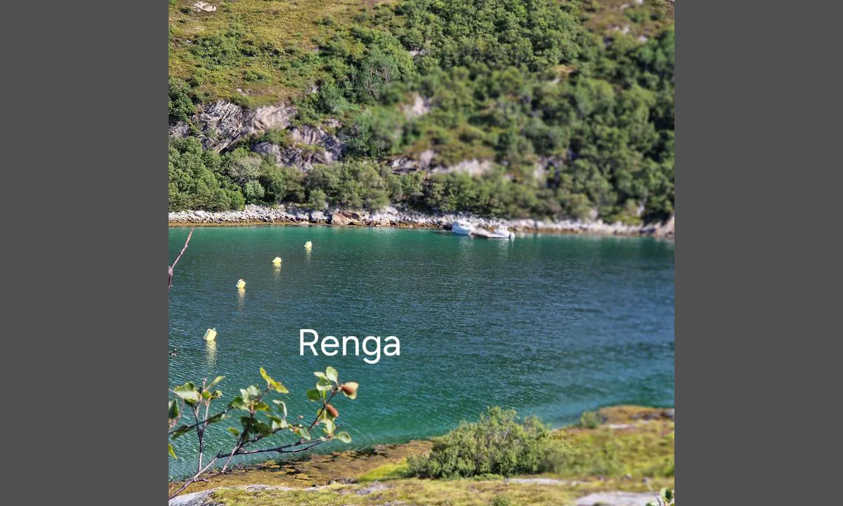 Renga