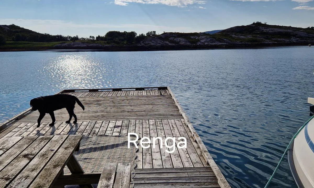 Renga