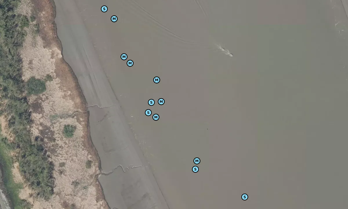 Satelite image of Rhinplate