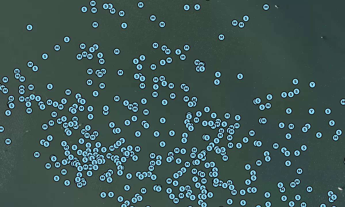 Satelite image of Richardson Bay - 1
