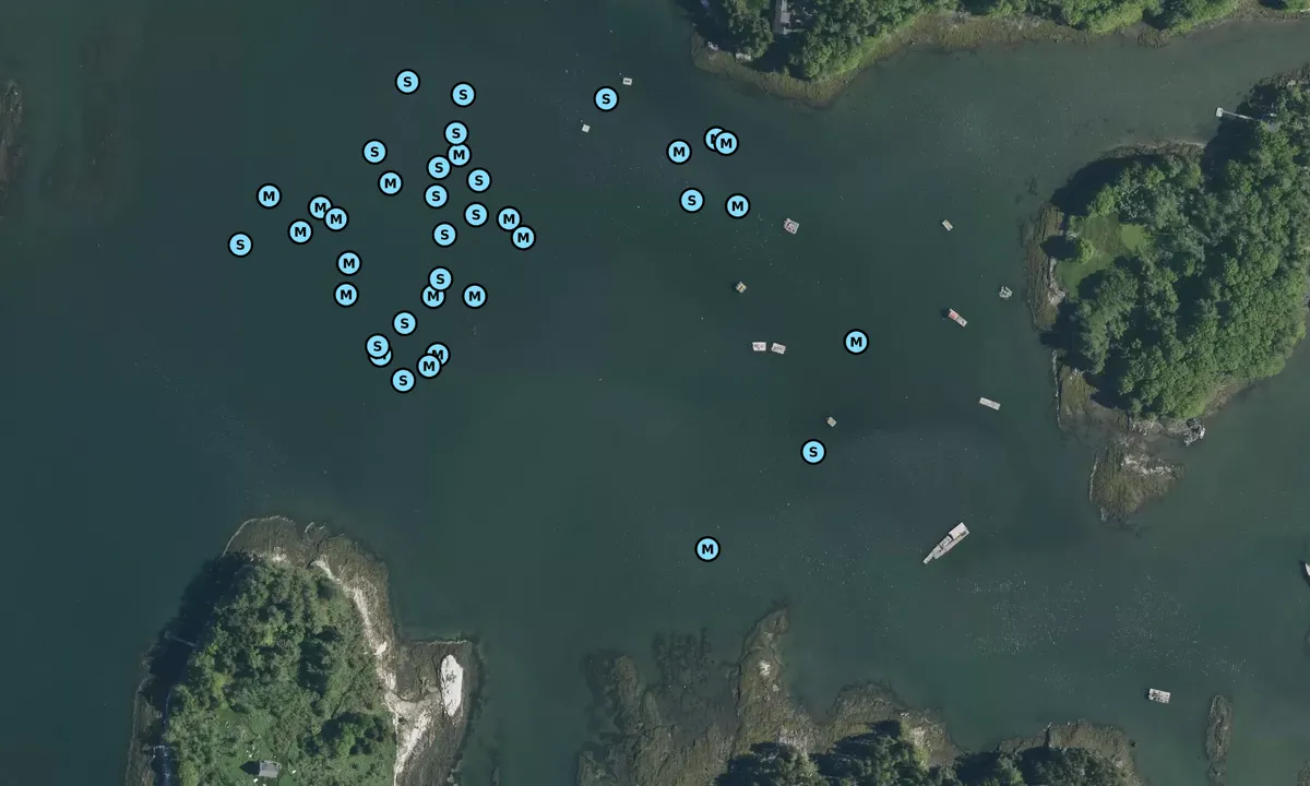 Satelite image of Ridley Cove