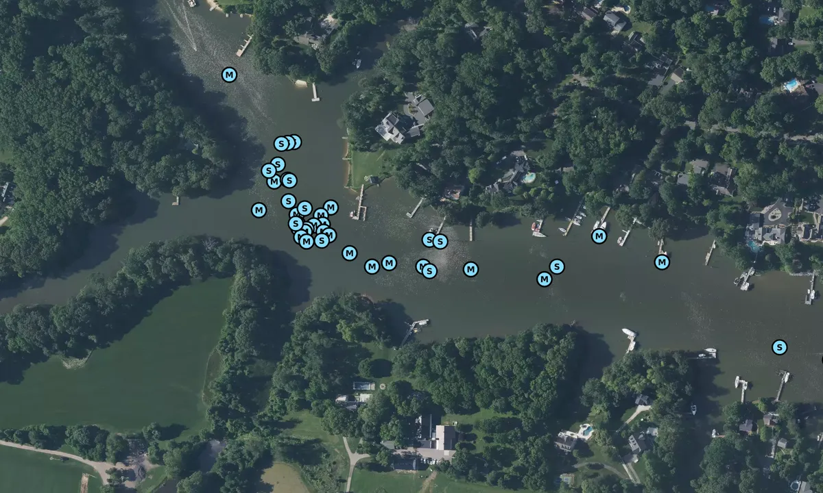 Satelite image of Ridout Creek