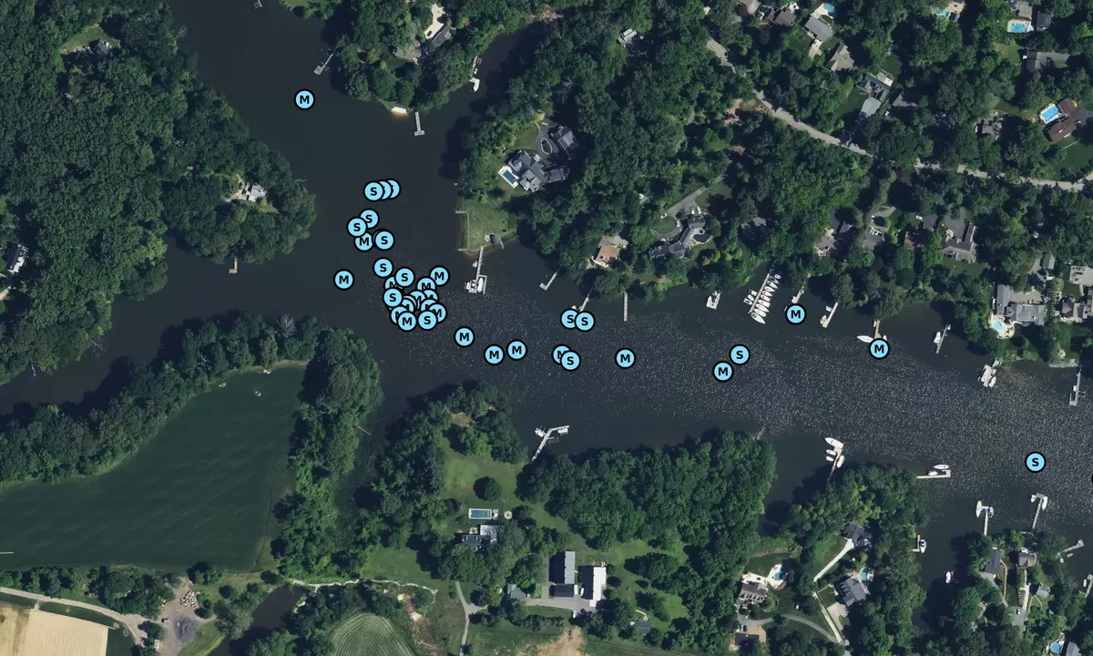 Satelite image of Ridout Creek