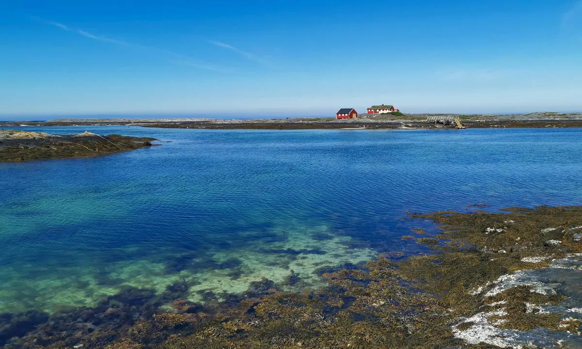 Ringholmen: Lagunen. Rett rundt hjørnet finner du en stor flytebrygge. Obs, det er bare 1.4 meter dybde i innløpet, så sjekk tidevannstabellen. .