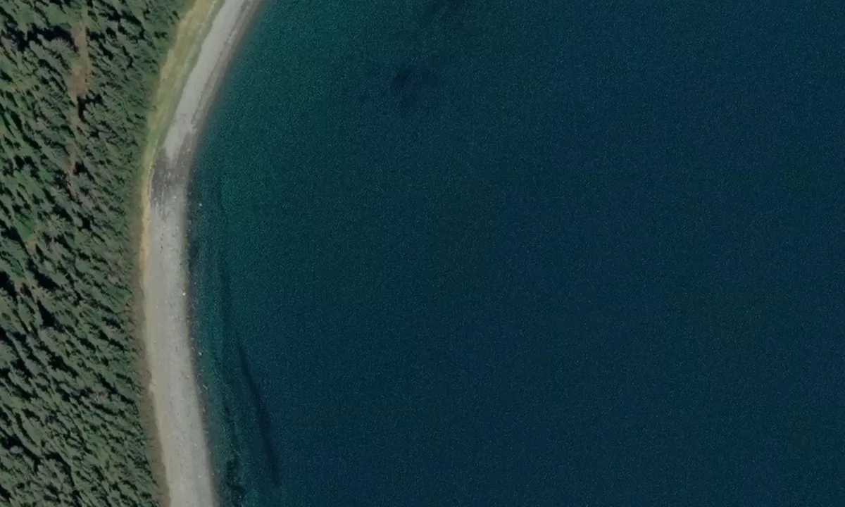 Satelite image of Ripple Cove