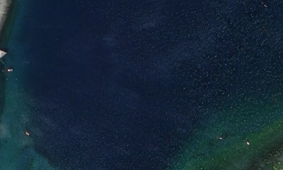 Satelite image of Risfjorden