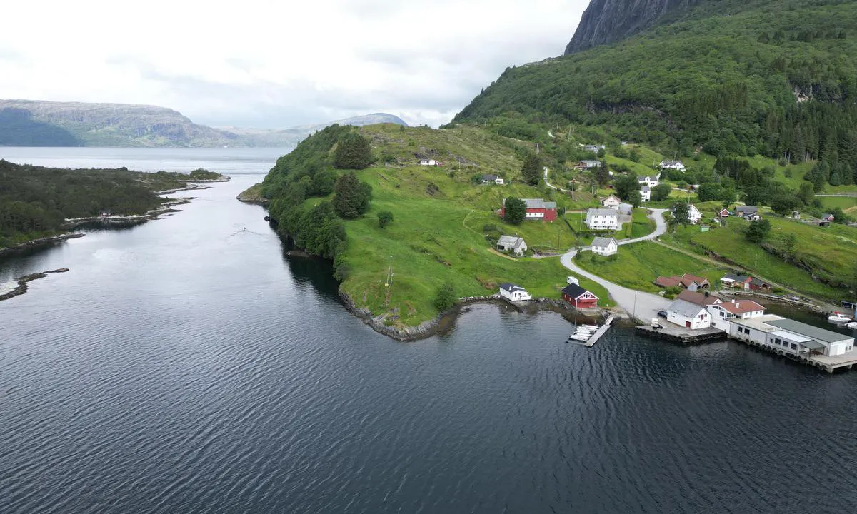 {"base": "no", "no": "Risnesstraumen", "se": "Risnesstr\u00f6mmen", "en": "Risnesstraumen", "da": "Risnesstr\u00f8mmen"}