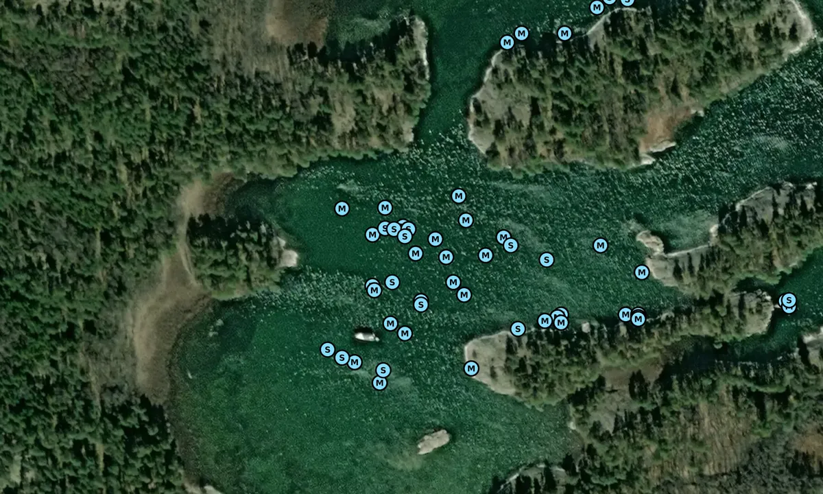 Satelite image of Risö