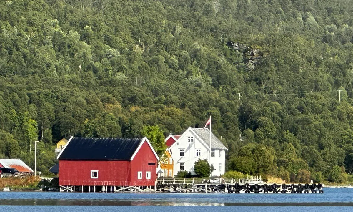 Risøya: {"base": "no", "no": "Fra Ankringsplassen er man rett ved Finnkroken. Ogs\u00e5 et sted verdt \u00e5 bes\u00f8ke.", "se": "Fr\u00e5n Ankarplatsen \u00e4r man direkt vid Finnkroken. Ocks\u00e5 en plats v\u00e4rd att bes\u00f6ka.", "en": "From the anchorage, you are right by Finnkroken. Also a place worth visiting.", "da": "Fra Ankringspladsen er man lige ved Finnkroken. Ogs\u00e5 et sted v\u00e6rd at bes\u00f8ge."}