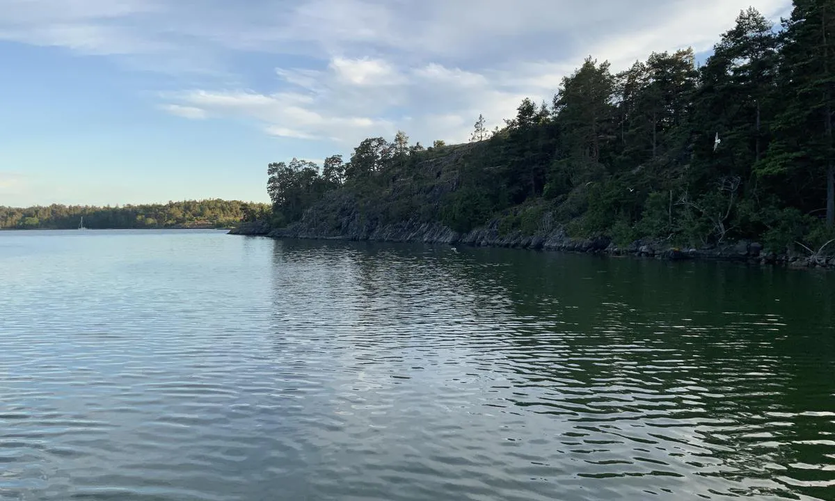 Risselö: {"base": "no", "no": "Mot s\u00f8rvest og innseilingen. Det er mulig \u00e5 fort\u00f8ye langs fjellet, men ikke lett \u00e5 komme p\u00e5 lan", "se": "Mot sydv\u00e4st och infarten. Det \u00e4r m\u00f6jligt att f\u00f6rt\u00f6ja l\u00e4ngs berget, men inte l\u00e4tt att komma i land.", "en": "Towards the southwest and the entrance. It is possible to moor along the mountain, but not easy to go ashore.", "da": "Mod sydvest og indsejlingen. Det er muligt at fort\u00f8je langs bjerget, men ikke let at komme p\u00e5 land", "fr": "Vers le sud-ouest et l'entr\u00e9e. Il est possible de s'amarrer le long de la roche, mais il n'est pas facile de d\u00e9barquer sur la terre ferme.", "de": "Nach S\u00fcdwesten und die Einfahrt. Es ist m\u00f6glich, am Felsen entlang festzumachen, aber es ist nicht einfach an Land zu kommen.", "es": "Hacia el suroeste y la entrada. Es posible amarrar a lo largo de la roca, pero no es f\u00e1cil desembarcar.", "it": "Verso sud-ovest e l'ingresso. \u00c8 possibile ormeggiare lungo la montagna, ma non \u00e8 facile sbarcare.", "pt": "Para sudoeste e a entrada. \u00c9 poss\u00edvel atracar ao longo da rocha, mas n\u00e3o \u00e9 f\u00e1cil desembarcar.", "nl": "Naar het zuidwesten en de ingang. Het is mogelijk om langs de berg vast te maken, maar het is niet gemakkelijk om aan land te komen.", "pl": "Na po\u0142udniowy zach\u00f3d i w kierunku wej\u015bcia. Mo\u017cna cumowa\u0107 przy skale, ale nie jest \u0142atwo zej\u015b\u0107 na l\u0105d.", "uk": "\u041d\u0430 \u043f\u0456\u0432\u0434\u0435\u043d\u043d\u0438\u0439 \u0437\u0430\u0445\u0456\u0434 \u0456 \u0434\u043e \u0432\u0445\u043e\u0434\u0443 \u0432 \u0433\u0430\u0432\u0430\u043d\u044c. \u041c\u043e\u0436\u043d\u0430 \u0448\u0432\u0430\u0440\u0442\u0443\u0432\u0430\u0442\u0438\u0441\u044f \u0432\u0437\u0434\u043e\u0432\u0436 \u0441\u043a\u0435\u043b\u0456, \u0430\u043b\u0435 \u0432\u0430\u0436\u043a\u043e \u0432\u0438\u0441\u0430\u0434\u0438\u0442\u0438\u0441\u044f \u043d\u0430 \u0431\u0435\u0440\u0435\u0433.", "ro": "Spre sud-vest \u0219i intrarea \u00een port. Este posibil s\u0103 se trag\u0103 de-a lungul st\u00e2ncii, dar nu este u\u0219or s\u0103 ajungi la \u021b\u0103rm", "tr": "G\u00fcneybat\u0131ya ve limana giri\u015fe do\u011fru. Da\u011f\u0131n kenar\u0131na yana\u015farak ba\u011flanmak m\u00fcmk\u00fcnd\u00fcr, ancak karaya \u00e7\u0131kmak kolay de\u011fildir.", "el": "\u03a0\u03c1\u03bf\u03c2 \u03bd\u03bf\u03c4\u03b9\u03bf\u03b4\u03c5\u03c4\u03b9\u03ba\u03ac \u03ba\u03b1\u03b9 \u03c4\u03b7\u03bd \u03b5\u03af\u03c3\u03bf\u03b4\u03bf \u03c4\u03bf\u03c5 \u03bb\u03b9\u03bc\u03b1\u03bd\u03b9\u03bf\u03cd. \u0395\u03af\u03bd\u03b1\u03b9 \u03b4\u03c5\u03bd\u03b1\u03c4\u03cc\u03bd \u03bd\u03b1 \u03b4\u03ad\u03c3\u03b5\u03c4\u03b5 \u03ba\u03b1\u03c4\u03ac \u03bc\u03ae\u03ba\u03bf\u03c2 \u03c4\u03c9\u03bd \u03b2\u03c1\u03ac\u03c7\u03c9\u03bd, \u03b1\u03bb\u03bb\u03ac \u03b4\u03b5\u03bd \u03b5\u03af\u03bd\u03b1\u03b9 \u03b5\u03cd\u03ba\u03bf\u03bb\u03bf \u03bd\u03b1 \u03b2\u03b3\u03b5\u03af\u03c4\u03b5 \u03c3\u03c4\u03b7\u03bd \u03b1\u03ba\u03c4\u03ae.", "cs": "Na jihoz\u00e1pad a do p\u0159\u00edstavu. Je mo\u017en\u00e9 kotvit pod\u00e9l hory, ale nen\u00ed snadn\u00e9 se dostat na b\u0159eh.", "hu": "D\u00e9l-nyugat fel\u00e9, a behaj\u00f3z\u00e1s ir\u00e1ny\u00e1ba. Lehets\u00e9ges a r\u00f6gz\u00edt\u00e9s a szikl\u00e1k ment\u00e9n, de nem k\u00f6nny\u0171 partra sz\u00e1llni.", "fi": "Kohti lounasta ja sataman sis\u00e4\u00e4nk\u00e4ynti\u00e4. On mahdollista kiinnitty\u00e4 kallion viereen, mutta maihin p\u00e4\u00e4sy ei ole helppoa.", "bg": "\u041d\u0430 \u044e\u0433\u043e\u0437\u0430\u043f\u0430\u0434 \u0438 \u043f\u0440\u0438 \u0432\u043b\u0438\u0437\u0430\u043d\u0435 \u0432 \u043f\u0440\u0438\u0441\u0442\u0430\u043d\u0438\u0449\u0435\u0442\u043e. \u0412\u044a\u0437\u043c\u043e\u0436\u043d\u043e \u0435 \u0434\u0430 \u0441\u0435 \u0437\u0430\u043a\u0430\u0447\u0438 \u0432\u044a\u0436\u0435 \u043f\u043e \u0441\u043a\u0430\u043b\u0430\u0442\u0430, \u043d\u043e \u043d\u0435 \u0435 \u043b\u0435\u0441\u043d\u043e \u0434\u0430 \u0441\u0435 \u0441\u043b\u0435\u0437\u0435 \u043d\u0430 \u0431\u0440\u0435\u0433\u0430.", "sr": "Ka jugozapadu i prilaz. Mogu\u0107e je privezati uz planinu, ali nije lako pristati na obalu.", "et": "L\u00f5una-edela suunas ja sissep\u00e4\u00e4s. Fjordi \u00e4\u00e4res on v\u00f5imalik s\u00f5ita, aga pole kerge maale tulla.", "lv": "Uz dienvidrietumiem un ieeja ost\u0101. Ir iesp\u0113jams pietauvoties gar klinti, bet nav viegli nok\u013c\u016bt uz sauszemes.", "lt": "Prie pietvakari\u0173 ir \u012fplaukos. Galima \u0161vartuotis palei uol\u0105, bet n\u0117ra lengva i\u0161lipti \u012f krant\u0105."}