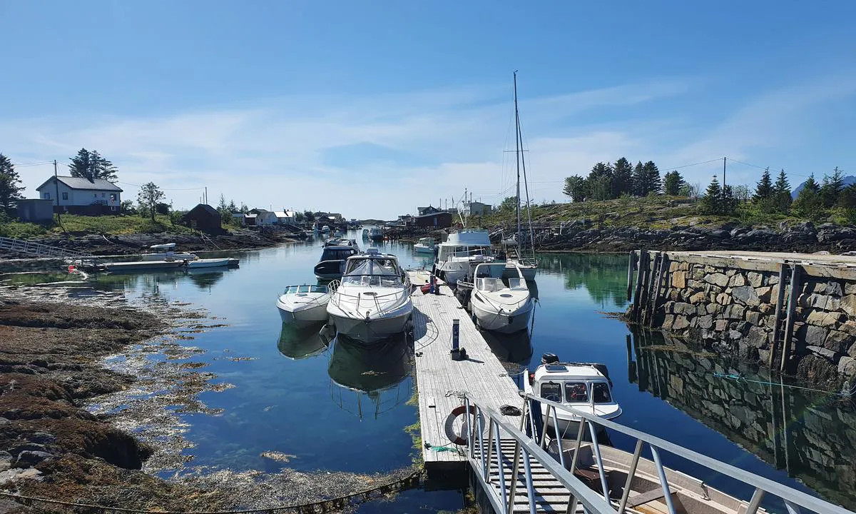 Risvær: {"base": "no", "no": "Flytebrygge i havna nord i sundet. Her er det ogs\u00e5 pub/kaf\u00e9!.", "se": "Flytbrygga i hamnen norr i sundet. H\u00e4r finns det ocks\u00e5 en pub/kaf\u00e9!.", "en": "Floating dock in the harbor north in the sound. There is also a pub/caf\u00e9 here!.", "da": "Flydebro i havnen nord i sundet. Her er der ogs\u00e5 pub/kaf\u00e9!."}