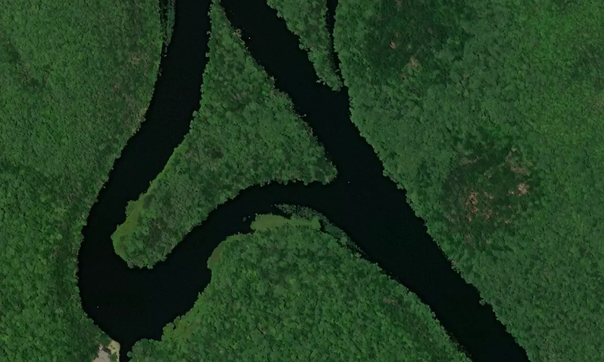 Flyfoto av River Forest Oxbow - 2