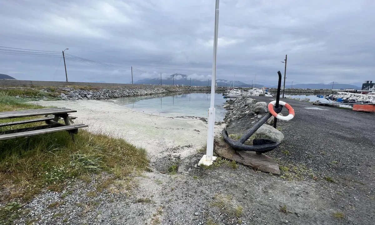 Roald Småbåtforening: {"base": "no", "no": "Flotte bademuligheter rett nedenfor sambrukshuset.", "se": "Fina badm\u00f6jligheter precis nedanf\u00f6r samf\u00e4llighetshuset.", "en": "Great swimming opportunities right below the shared use house.", "da": "Gode bademuligheder lige neden for f\u00e6lleshuset."}