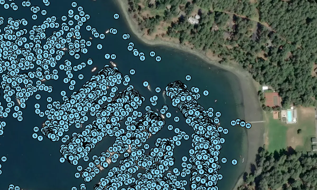 Satelite image of Roche Harbor Resort and Marina