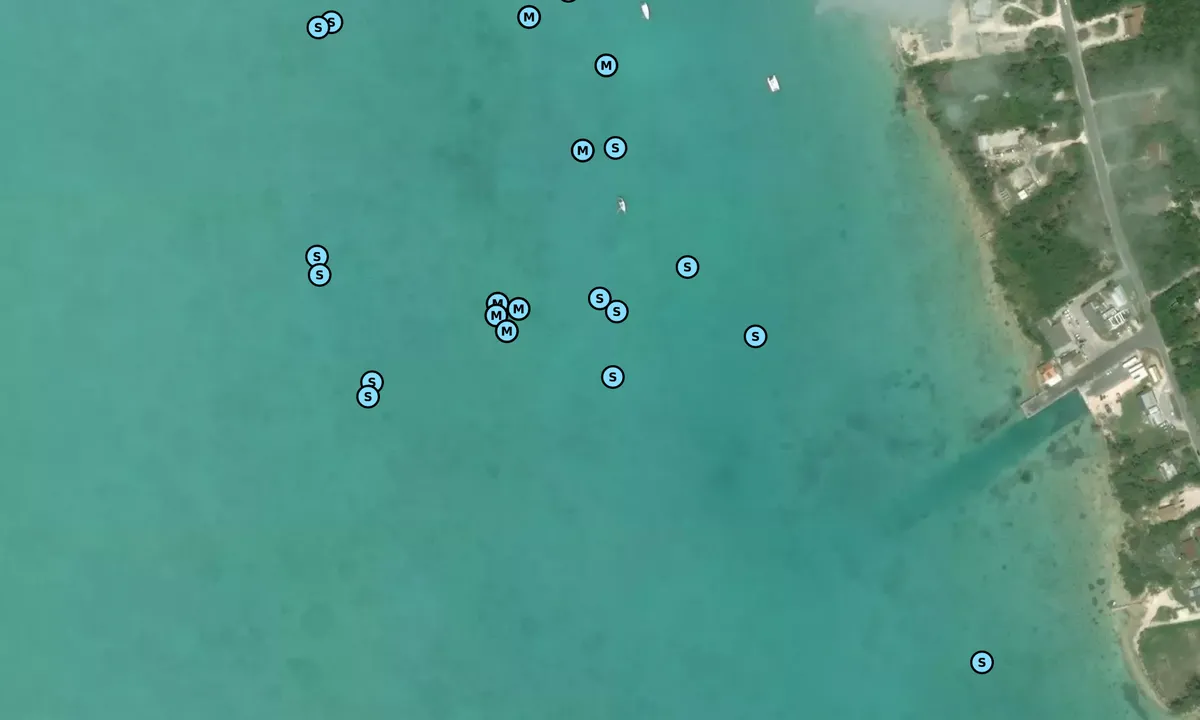 Satelite image of Rock Sound East