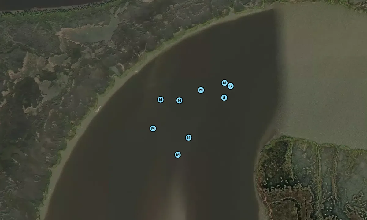 Satelite image of Rockdedundy Creek