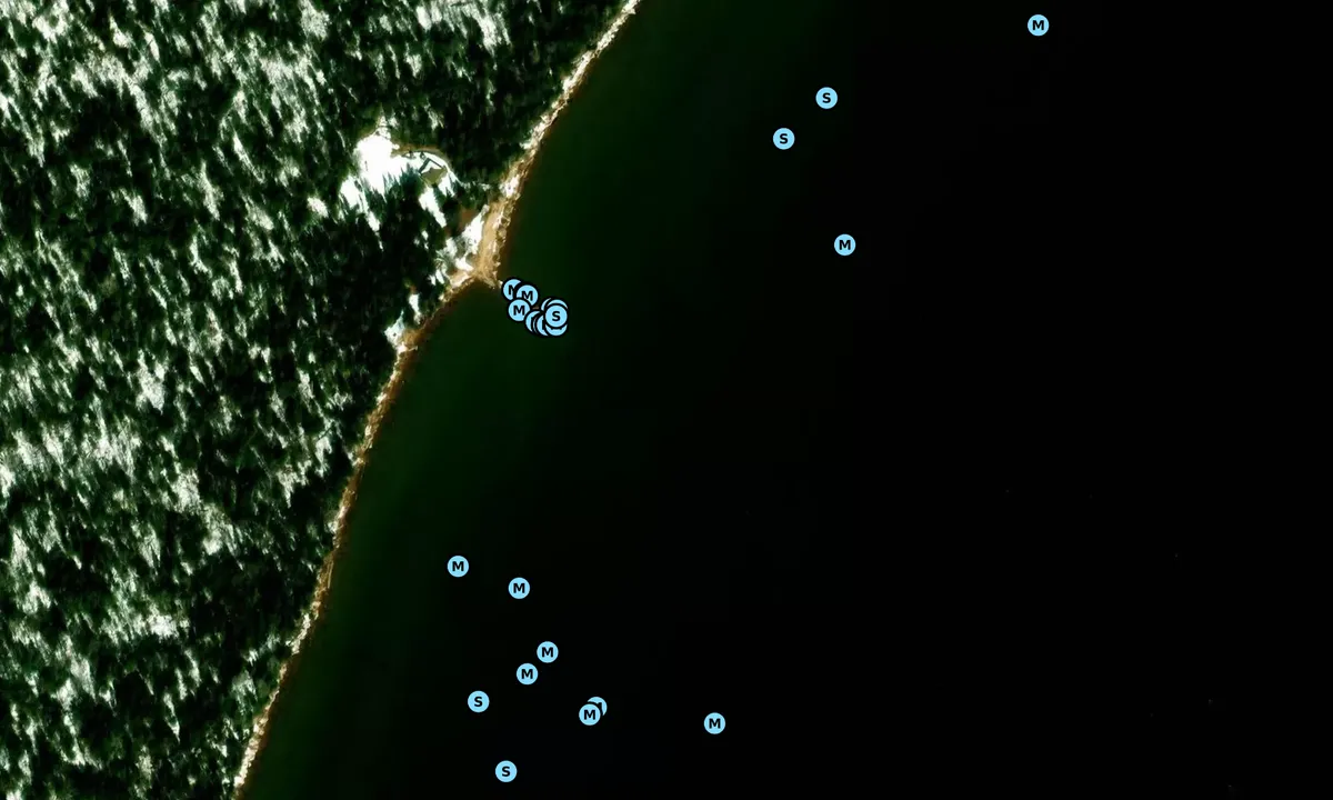 Satelite image of Rocky Island (NPS dock)