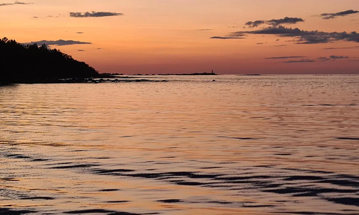 Rödhall, Måsörarna: {"base": "en", "no": "I bakgrunnen kan du se fyret Bj\u00f6rns Fyr", "se": "I bakgrunden kan du se fyren Bj\u00f6rns Fyr", "en": "In the background you can see the lighthouse Bj\u00f6rns Fyr", "da": "I baggrunden kan man se fyret Bj\u00f6rns Fyr", "fr": "En arri\u00e8re-plan, vous pouvez voir le phare Bj\u00f6rns Fyr", "de": "Im Hintergrund sieht man den Leuchtturm Bj\u00f6rns Fyr", "es": "Al fondo se puede ver el faro Bj\u00f6rns Fyr", "it": "Nello sfondo si pu\u00f2 vedere il faro Bj\u00f6rns Fyr", "pt": "Ao fundo, voc\u00ea pode ver o farol Bj\u00f6rns Fyr", "nl": "Op de achtergrond zie je de vuurtoren Bj\u00f6rns Fyr", "pl": "W tle wida\u0107 latarni\u0119 morsk\u0105 Bj\u00f6rns Fyr", "uk": "\u041d\u0430 \u0437\u0430\u0434\u043d\u044c\u043e\u043c\u0443 \u043f\u043b\u0430\u043d\u0456 \u0432\u0438 \u043c\u043e\u0436\u0435\u0442\u0435 \u043f\u043e\u0431\u0430\u0447\u0438\u0442\u0438 \u043c\u0430\u044f\u043a \u0411\u0439\u043e\u0440\u043d\u0441 \u0424\u044e\u0440", "ro": "In fundal pute\u021bi vedea farul Bj\u00f6rns Fyr", "tr": "Arka planda Bj\u00f6rns Fyr fenerini g\u00f6rebilirsiniz.", "el": "\u03a3\u03c4\u03bf \u03b2\u03ac\u03b8\u03bf\u03c2 \u03bc\u03c0\u03bf\u03c1\u03b5\u03af\u03c4\u03b5 \u03bd\u03b1 \u03b4\u03b5\u03af\u03c4\u03b5 \u03c4\u03bf\u03bd \u03c6\u03ac\u03c1\u03bf Bj\u00f6rns Fyr", "cs": "V pozad\u00ed m\u016f\u017eete vid\u011bt maj\u00e1k Bj\u00f6rns Fyr", "hu": "A h\u00e1tt\u00e9rben l\u00e1that\u00f3 a Bj\u00f6rns Fyr vil\u00e1g\u00edt\u00f3torony", "fi": "Taustalla voit n\u00e4hd\u00e4 majakan Bj\u00f6rns Fyr", "bg": "\u041d\u0430 \u0437\u0430\u0434\u0435\u043d \u043f\u043b\u0430\u043d \u043c\u043e\u0436\u0435\u0442\u0435 \u0434\u0430 \u0432\u0438\u0434\u0438\u0442\u0435 \u0444\u0430\u0440\u044a\u0442 \u0411\u044c\u043e\u0440\u043d\u0441 \u0424\u0438\u0440.", "sr": "U pozadini mo\u017eete videti svetionik Bj\u00f6rns Fyr", "et": "Taustal n\u00e4ete Bj\u00f6rns Fyr majakat", "lv": "Fon\u0101 j\u016bs varat redz\u0113t Bj\u00f6rns Fyr b\u0101ku", "lt": "Fone matote \u0161vytur\u012f Bj\u00f6rns Fyr"}