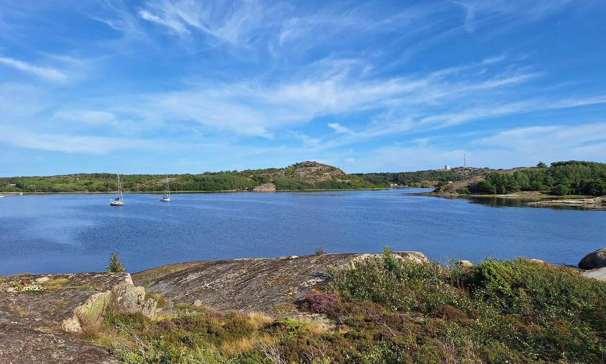 Rödhammarfjorden - Veddö - Fiskholmen: {"base": "no", "no": "Gode ankerplasser i den dype renna. Beskyttet fra alle retninger.", "se": "Goda ankringsplatser i den djupa r\u00e4nnan. Skyddad fr\u00e5n alla riktningar.", "en": "Good anchorages in the deep channel. Protected from all directions.", "da": "Gode ankerpladser i den dybe rende. Beskyttet fra alle retninger."}