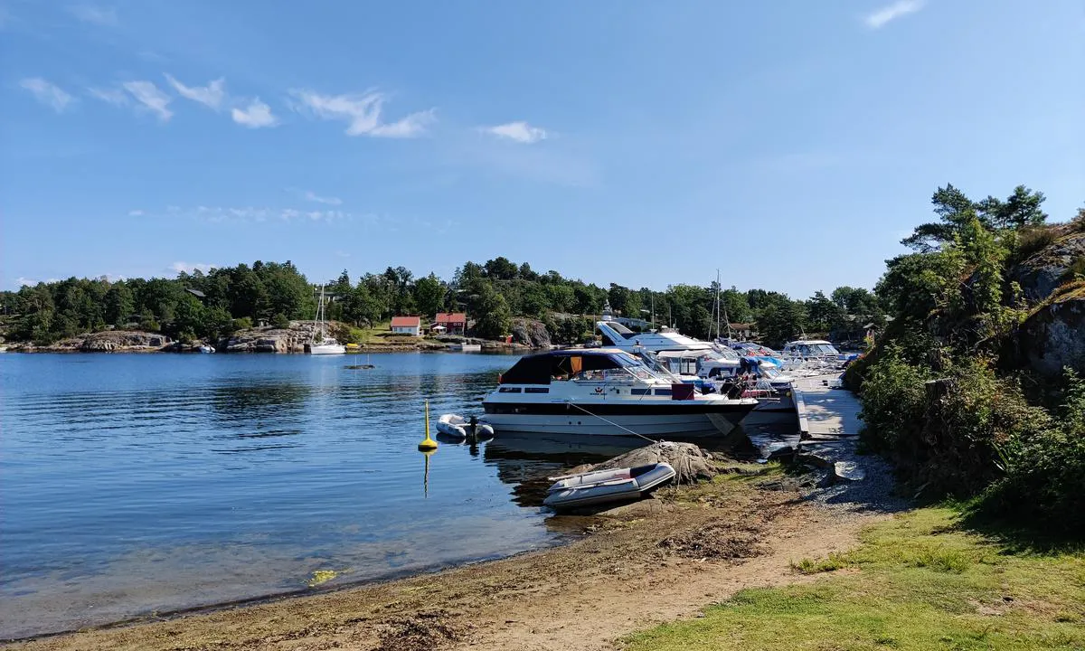 Trosbyfjorden  - Rødneset nord