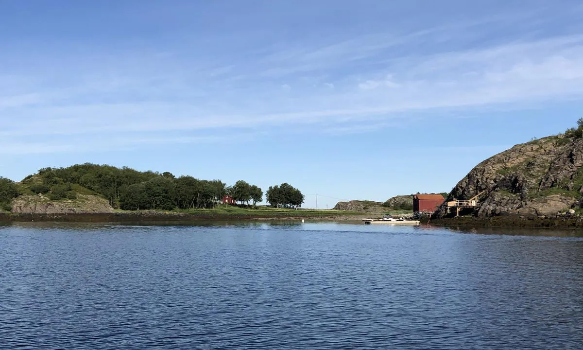 Rødøyvågen